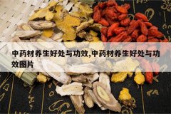 <b>��ҩ�������ô��빦Ч,��ҩ�������ô��빦ЧͼƬ</b>