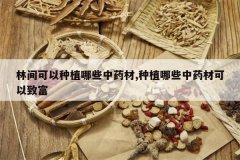 <b>�ּ������ֲ��Щ��ҩ��,��ֲ��Щ��ҩ�Ŀ����¸�</b>