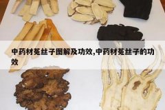 <b>��ҩ����˿��ͼ�⼰��Ч,��ҩ����˿�ӵĹ�Ч</b>