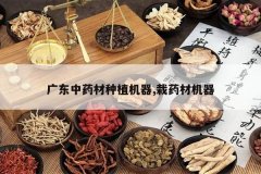 <b>�㶫��ҩ����ֲ����,��ҩ�Ļ���</b>