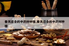 <b>�����ʺϵ���ҩ����ֲ,�����ʺϵ���ҩ����ֲ</b>