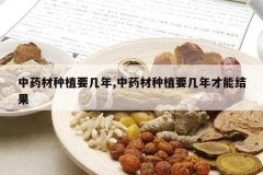 <b>��ҩ����ֲҪ����,��ҩ����ֲҪ������ܽ��</b>