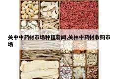 <b>������ҩ���г���ֲ����,������ҩ���չ��г�</b>