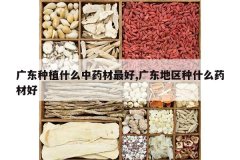 <b>�㶫��ֲʲô��ҩ�����,�㶫������ʲôҩ�ĺ�</b>