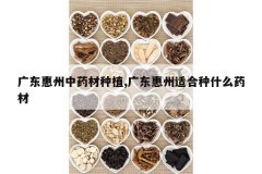 <b>�㶫������ҩ����ֲ,�㶫�����ʺ���ʲôҩ��</b>