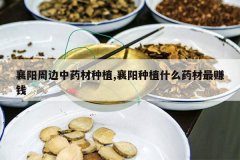 <b>�����ܱ���ҩ����ֲ,������ֲʲôҩ����׬Ǯ</b>