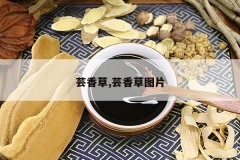 <b>ܿ���,ܿ���ͼƬ</b>