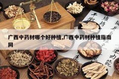 <b>������ҩ���ĸ�����ֲ,������ҩ����ֲָ����</b>