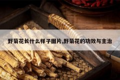 <b>Ұ�ջ���ʲô����ͼƬ,Ұ�ջ��Ĺ�Ч������</b>