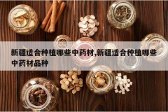 <b>�½��ʺ���ֲ��Щ��ҩ��,�½��ʺ���ֲ��Щ��ҩ��Ʒ��</b>