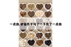 <b>һ��Ѫ,��èצ�ӹ���һ�³���һ��Ѫ</b>