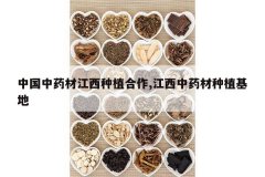 <b>�й���ҩ�Ľ�����ֲ����,������ҩ����ֲ����</b>