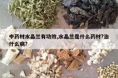 <b>��ҩ��ˮ�����й�Ч,ˮ������ʲôҩ��?��ʲô��?</b>