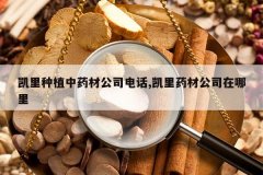 <b>������ֲ��ҩ�Ĺ�˾�绰,����ҩ�Ĺ�˾������</b>