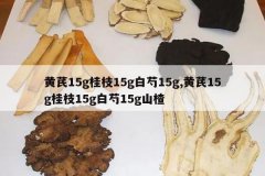 <b>����15g��֦15g����15g,����15g��֦15g����15gɽ�</b>