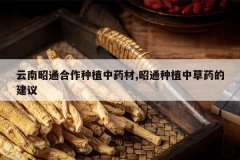 <b>������ͨ������ֲ��ҩ��,��ͨ��ֲ�в�ҩ�Ľ���</b>