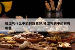 <b>��ʪ��ʲô��ҩ��Ч����,��ʪ������ҩ������Щ</b>