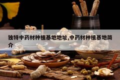 <b>������ҩ����ֲ���ص�ַ,��ҩ����ֲ���ؼ��</b>