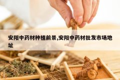 <b>������ҩ����ֲǰ��,������ҩ�������г���ַ</b>