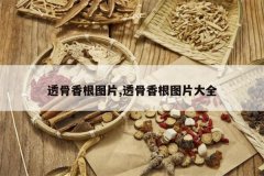 <b>͸�����ͼƬ,͸�����ͼƬ��ȫ</b>