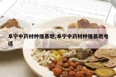 <b>������ҩ����ֲ����,������ҩ����ֲ���ص绰</b>