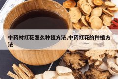 <b>��ҩ�ĺ컨��ô��ֲ����,��ҩ�컨����ֲ����</b>