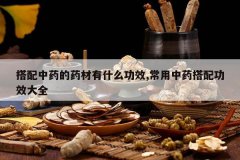 <b>������ҩ��ҩ����ʲô��Ч,������ҩ���书Ч��ȫ</b>