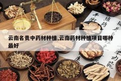 <b>����������ҩ����ֲ,����ҩ����ֲ��Ŀ�������</b>