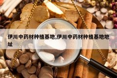 <b>������ҩ����ֲ����,������ҩ����ֲ���ص�ַ</b>