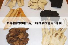 <b>��é��ũ���ʲô,һζ��é������6�ֲ�</b>