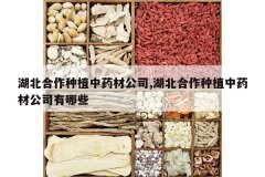 <b>����������ֲ��ҩ�Ĺ�˾,����������ֲ��ҩ�Ĺ�˾����Щ</b>