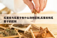 <b>����Ƥ���������ʲô��Ч����,����Ƥ�͹����ӵ�����</b>