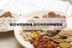 <b>������ҩ����ֲ,������ҩ����ֲ����</b>