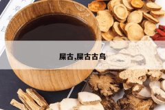 <b>ʺ��,ʺ�Ź���</b>