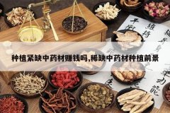 <b>��ֲ��ȱ��ҩ��׬Ǯ��,ϡȱ��ҩ����ֲǰ��</b>