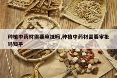 <b>��ֲ��ҩ����Ҫ������,��ֲ��ҩ����Ҫ������֪��</b>