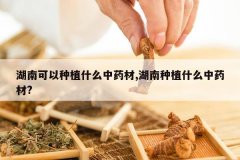 <b>���Ͽ�����ֲʲô��ҩ��,������ֲʲô��ҩ��?</b>