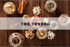 <b>������,����������vi</b>