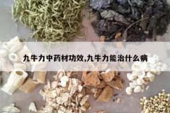 <b>��ţ����ҩ�Ĺ�Ч,��ţ������ʲô��</b>