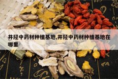 <b>������ҩ����ֲ����,������ҩ����ֲ����������</b>