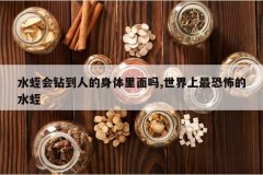 <b>ˮ�λ��굽�˵�����������,��������ֲ���ˮ��</b>