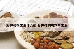 <b>Ұ�޻�������ʲô��,Ұ�޻��Ĺ�Ч������</b>
