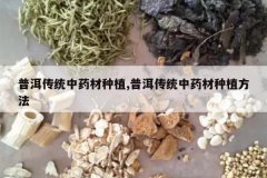 <b>�ն���ͳ��ҩ����ֲ,�ն���ͳ��ҩ����ֲ����</b>