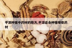 <b>ƽ����ֲ��ҩ�ĵĵط�,ƽ���ʺ���ֲ��Щҩ��</b>