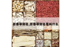 <b>ܿ��ݱ���,ܿ��ݱ����ǽ�ʲô</b>