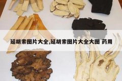 <b>�Ӻ���ͼƬ��ȫ,�Ӻ���ͼƬ��ȫ��ͼ ҩ��</b>