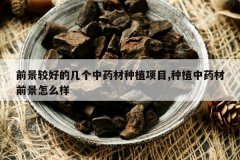 <b>ǰ���Ϻõļ�����ҩ����ֲ��Ŀ,��ֲ��ҩ��ǰ����ô��</b>