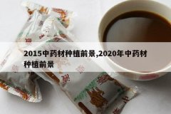 <b>2015��ҩ����ֲǰ��,2020����ҩ����ֲǰ��</b>