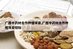 <b>������ҩ�ĺ�����ֲ��Ŀ,������ҩ�ĺ�����ֲ��Ŀ�б�</b>