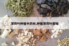 <b>����Ҷ��ֲ��ҩ��,��ֲ����Ҷ��֪</b>